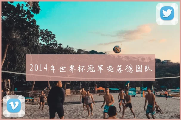 2014年世界杯冠军花落德国队