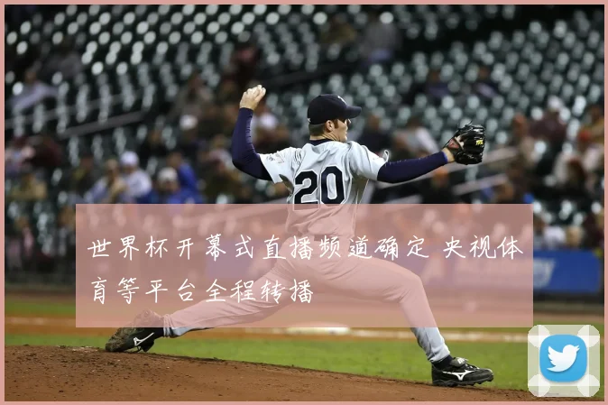 世界杯开幕式直播频道确定 央视体育等平台全程转播