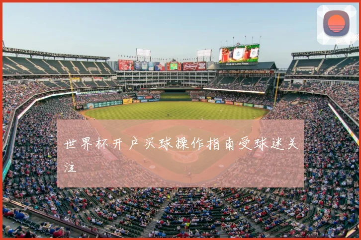 世界杯开户买球操作指南受球迷关注