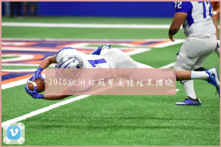 2016欧洲杯冠军竞猜结果揭晓