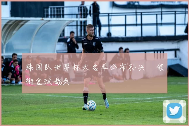 韩国队世界杯大名单公布孙兴慜领衔金玟哉列